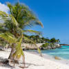 selloffvacations-prod/COUNTRY/Cayman Islands/cayman-islands-017